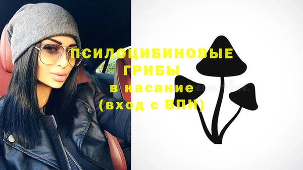 ешки Арсеньев