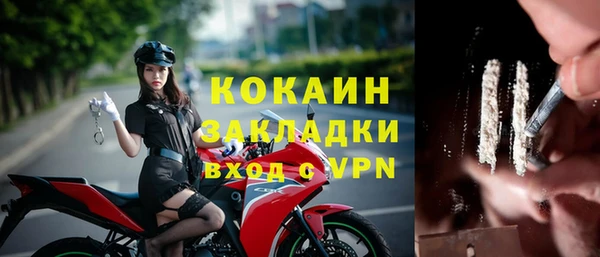 ешки Арсеньев