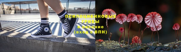 хмурый Армянск