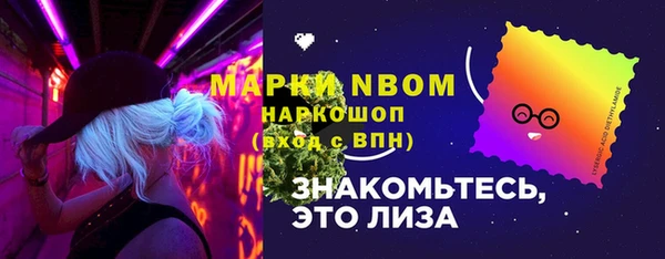 твердый Богородск