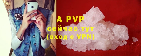 твердый Аркадак