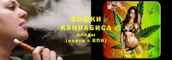 ешки Арсеньев