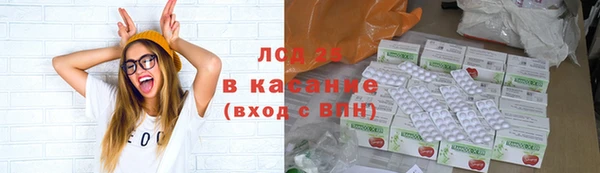 твердый Аркадак