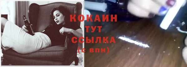 твердый Аркадак