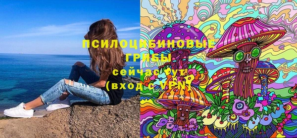 скорость Алзамай
