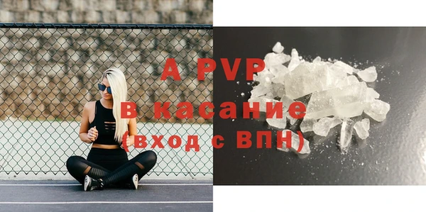 твердый Аркадак